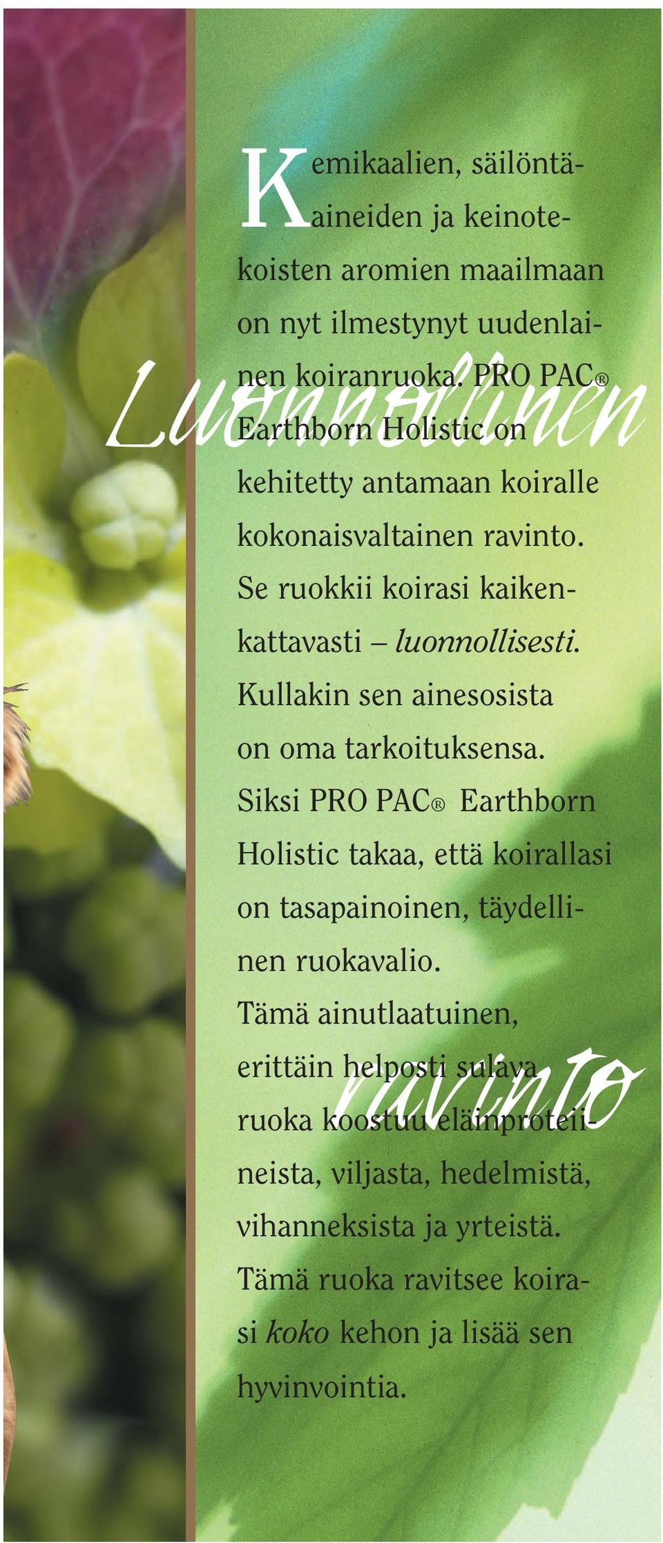 Riboflaviini (B2-vitamiini) edistää kasvua ja helpottaa hiilihydraattien ja aminohappojen imeytymistä. Se on tärkeä näköaistin toiminnalle sekä ihon, kynsien ja turkin hyvinvoinnille.