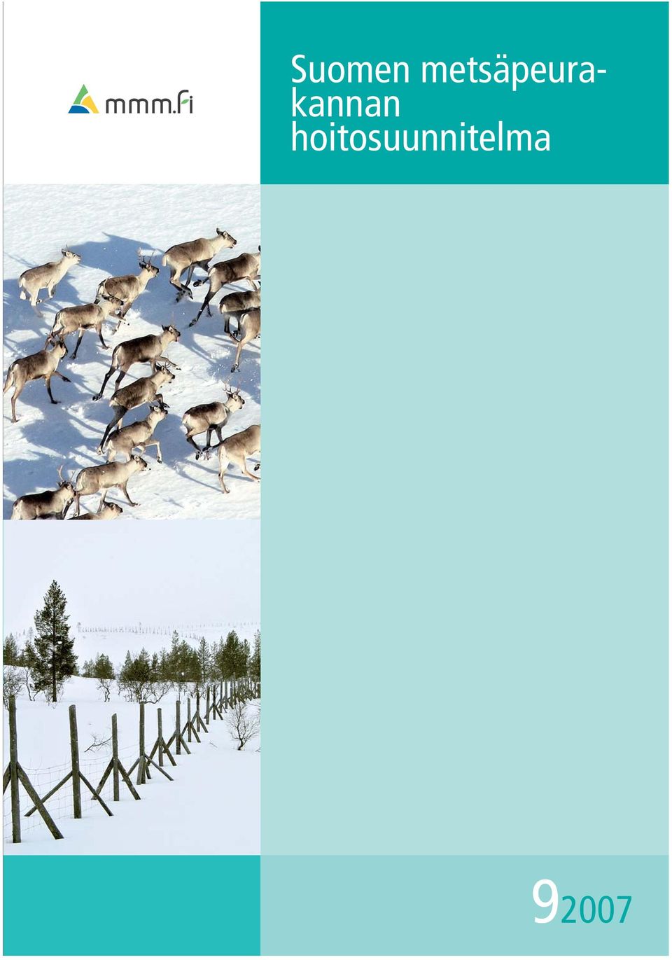 hoitosuunnitelma