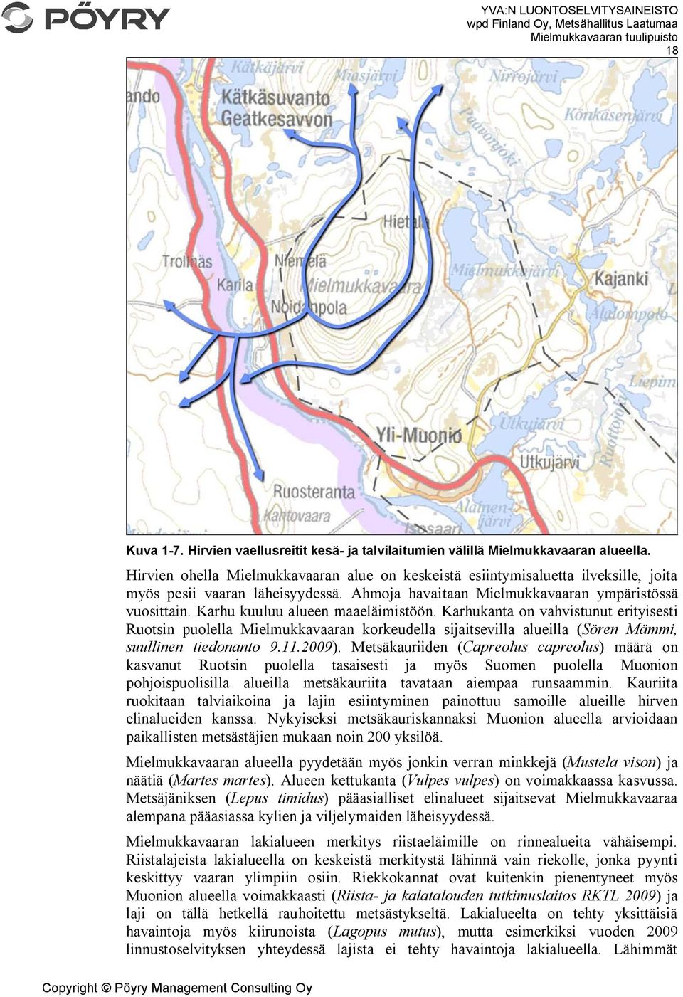 Karhu kuuluu alueen maaeläimistöön. Karhukanta on vahvistunut erityisesti Ruotsin puolella Mielmukkavaaran korkeudella sijaitsevilla alueilla (Sören Mämmi, suullinen tiedonanto 9.11.2009).