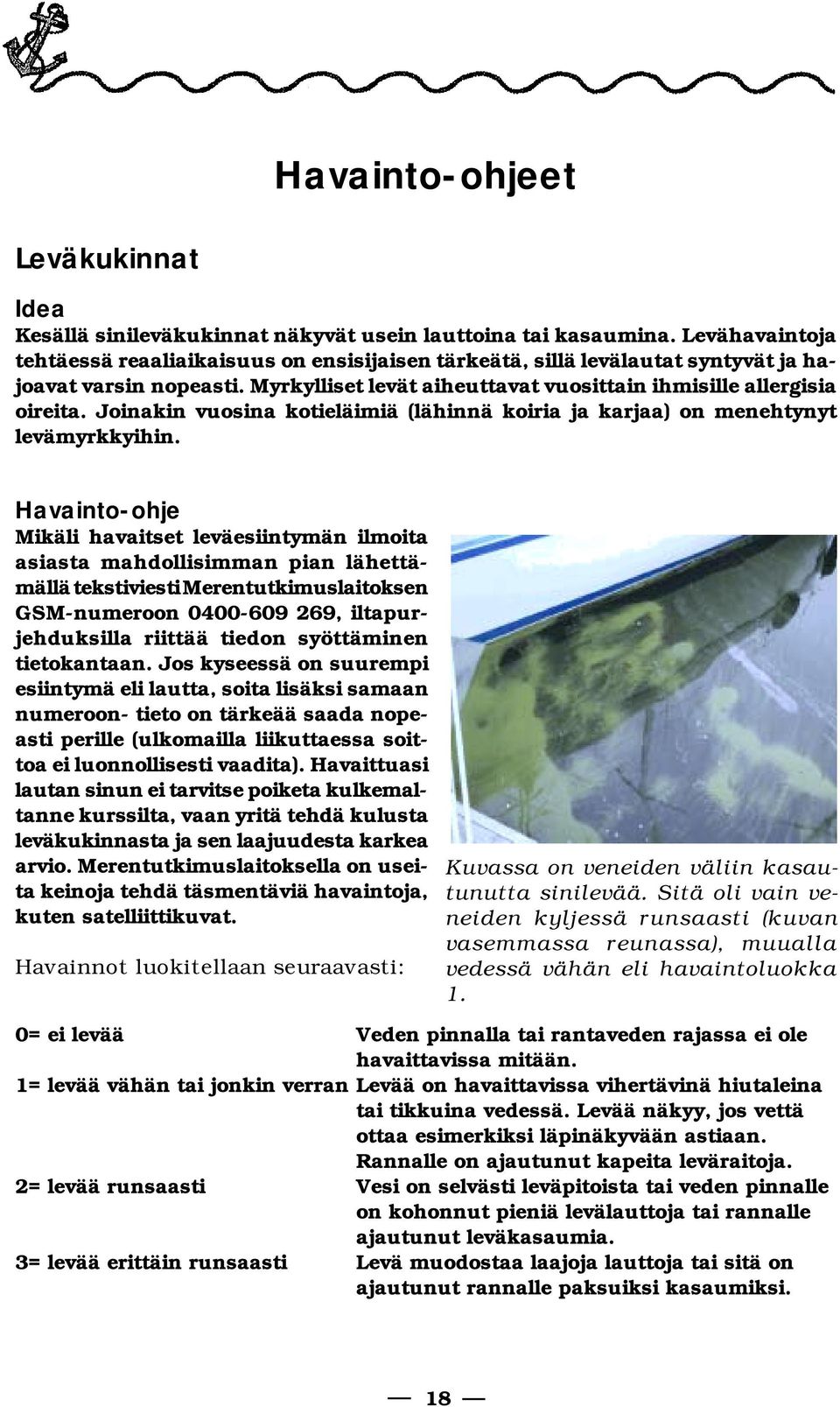 Joinakin vuosina kotieläimiä (lähinnä koiria ja karjaa) on me neh ty nyt levämyrkkyihin.