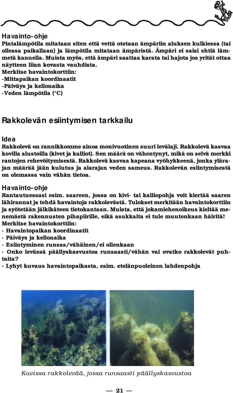 Merkitse havaintokorttiin: -Mittapaikan koordinaatit -Päiväys ja kellonaika -Veden lämpötila ( C) Rakkolevän esiintymisen tarkkailu Idea Rakkolevä on rannikkomme ainoa monivuotinen suuri levälaji.
