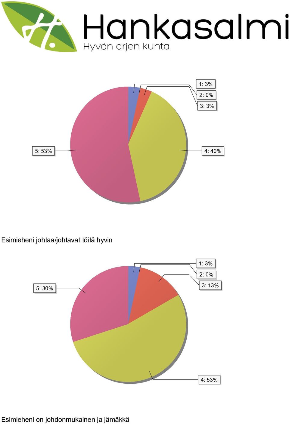 hyvin 1: 3% 2: 0% 5: 30% 3: 13% 4: