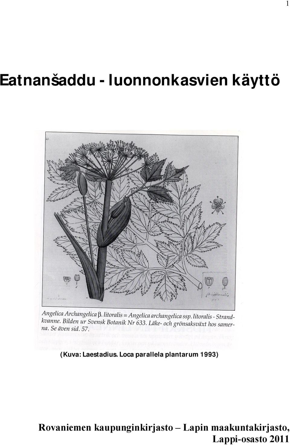 Loca parallela plantarum 1993)