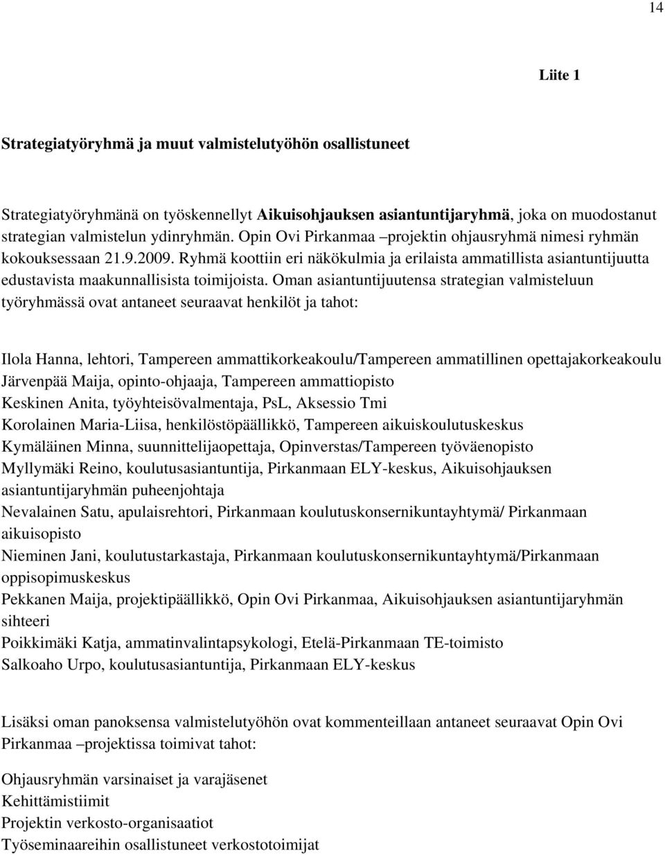 Oman asiantuntijuutensa strategian valmisteluun työryhmässä ovat antaneet seuraavat henkilöt ja tahot: Ilola Hanna, lehtori, Tampereen ammattikorkeakoulu/tampereen ammatillinen opettajakorkeakoulu