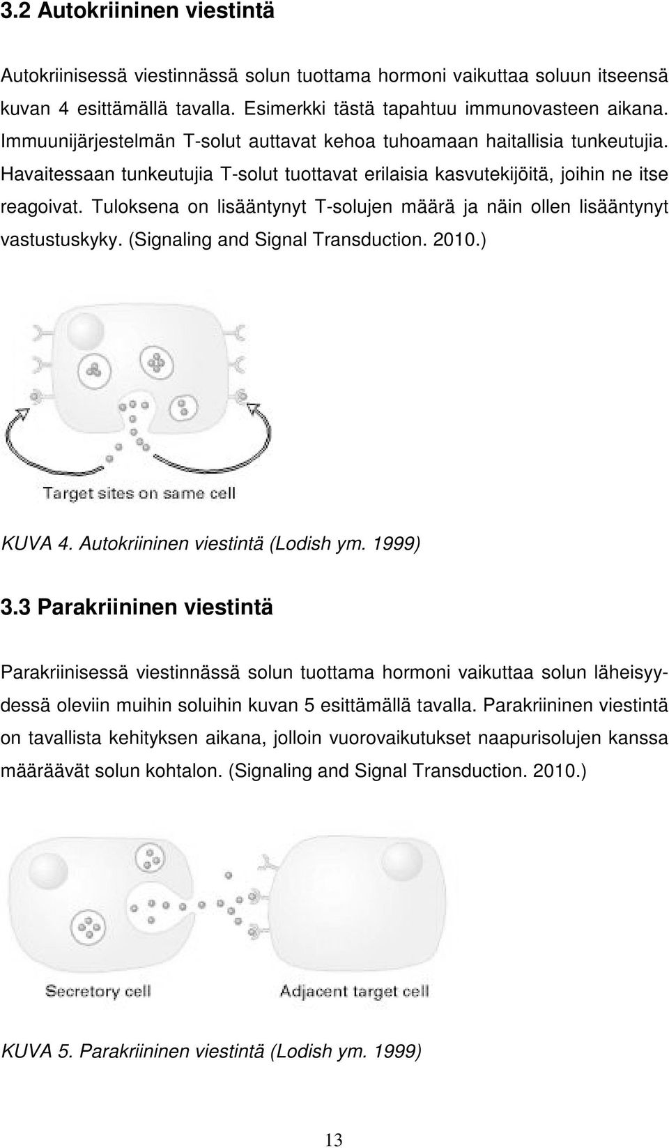 Tuloksena on lisääntynyt T-solujen määrä ja näin ollen lisääntynyt vastustuskyky. (Signaling and Signal Transduction. 2010.) KUVA 4. Autokriininen viestintä (Lodish ym. 1999) 3.