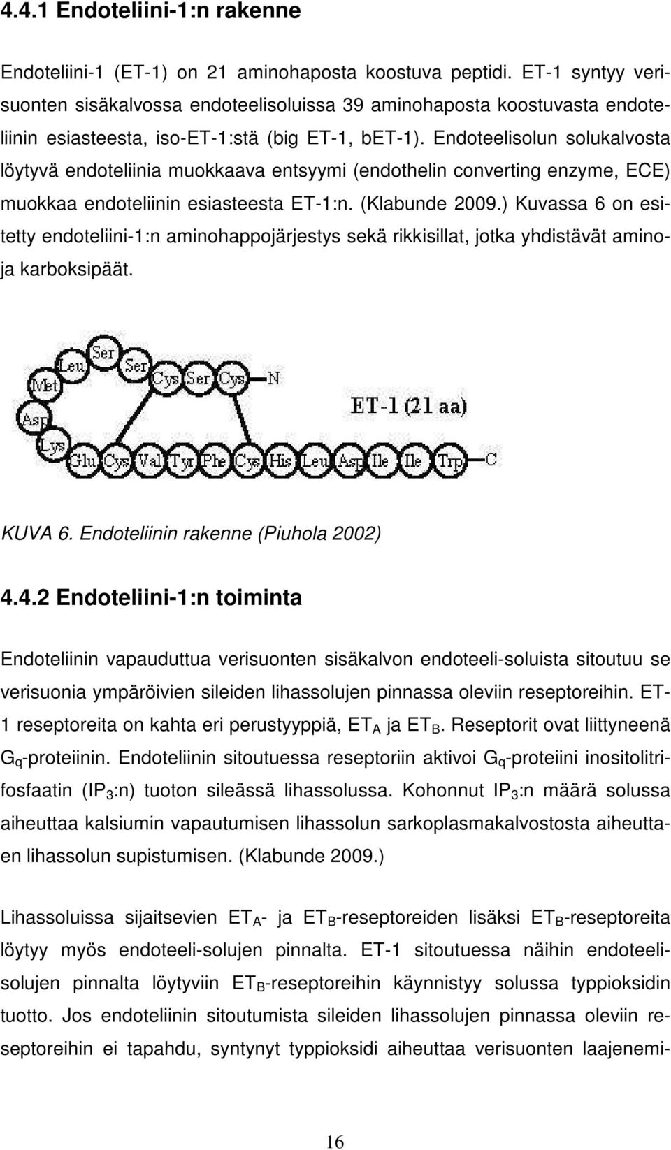 Endoteelisolun solukalvosta löytyvä endoteliinia muokkaava entsyymi (endothelin converting enzyme, ECE) muokkaa endoteliinin esiasteesta ET-1:n. (Klabunde 2009.