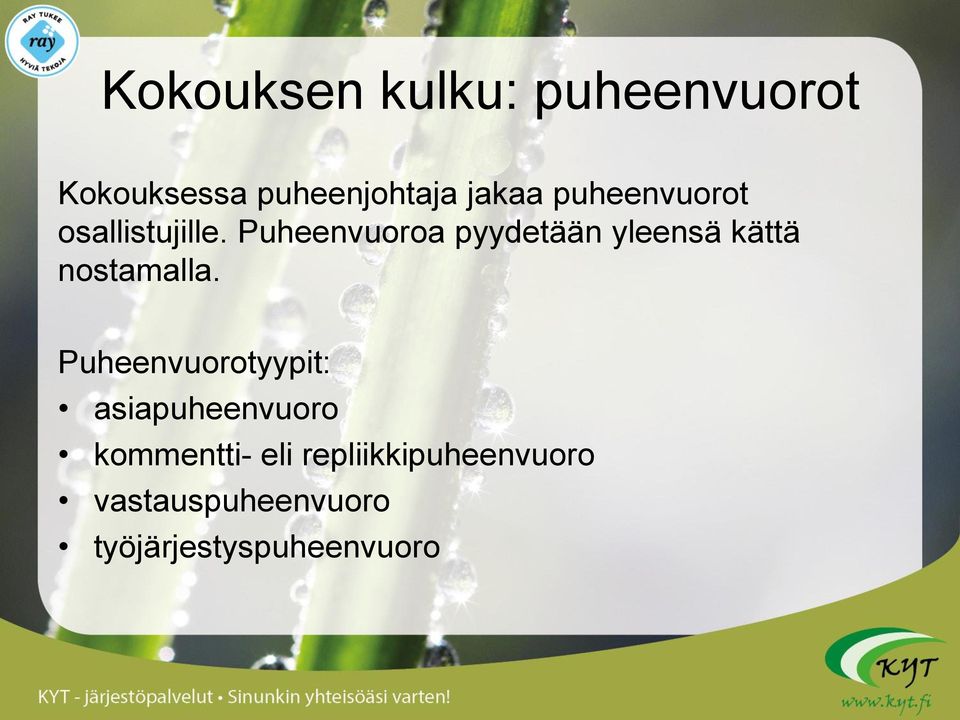 Puheenvuoroa pyydetään yleensä kättä nostamalla.