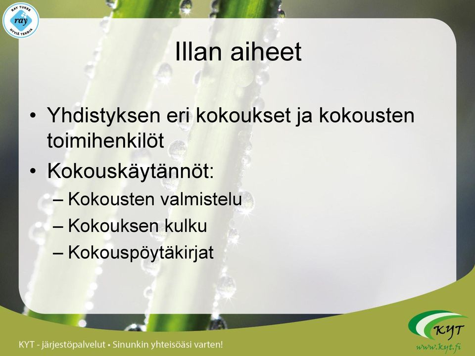 toimihenkilöt Kokouskäytännöt: