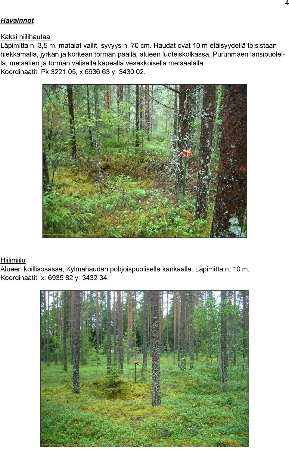 Purunmäen länsipuolella, metsätien ja tormän välisellä kapealla vesakkoisella metsäalalla.