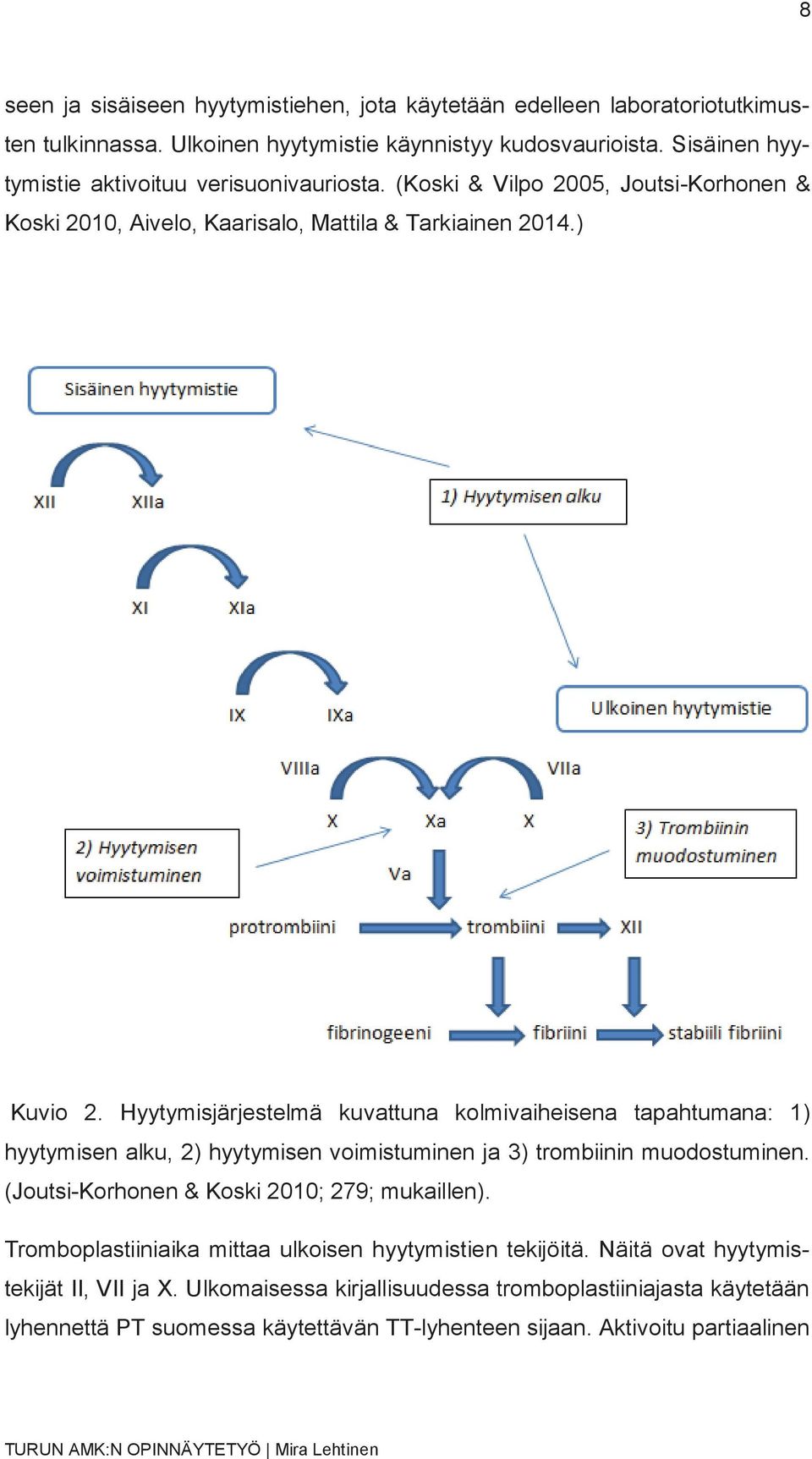 Hyytymisjärjestelmä kuvattuna kolmivaiheisena tapahtumana: 1) hyytymisen alku, 2) hyytymisen voimistuminen ja 3) trombiinin muodostuminen.