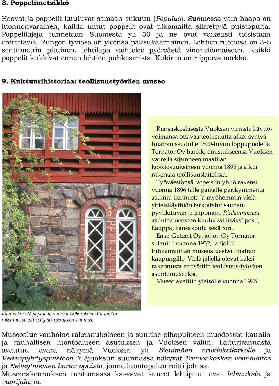 Lehtien ruotiosa on 3-5 senttimetrin pituinen, lehtilapa vaihtelee pyöreästä vinoneliömäiseen. Kaikki poppelit kukkivat ennen lehtien puhkeamista. Kukinto on riippuva norkko. 9.