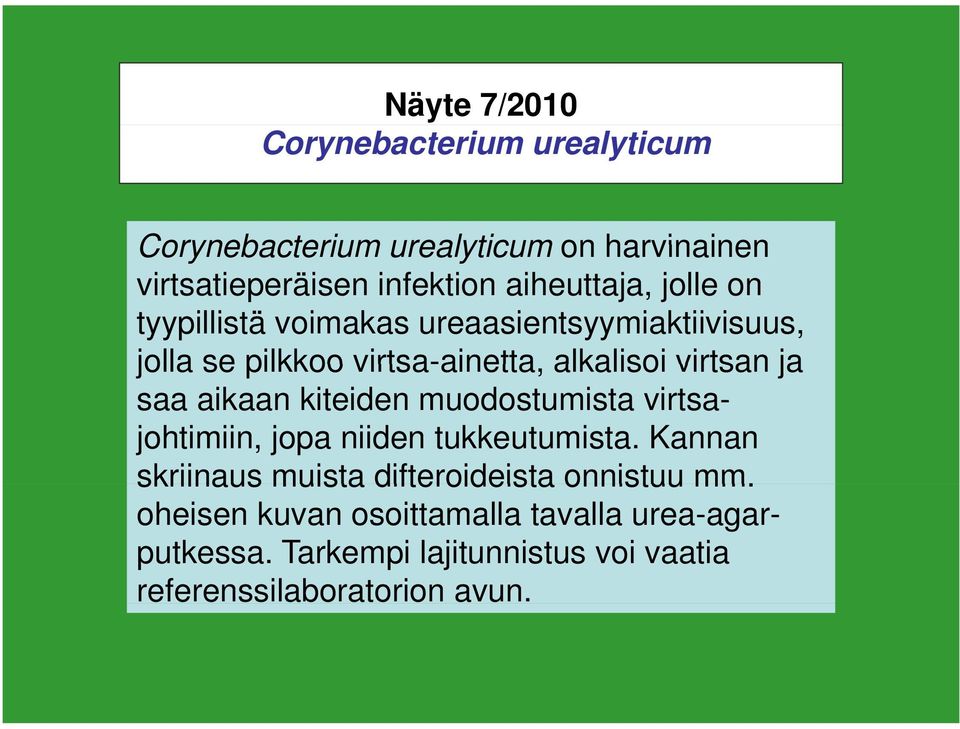 ja saa aikaan kiteiden muodostumista virtsajohtimiin, jopa niiden tukkeutumista.