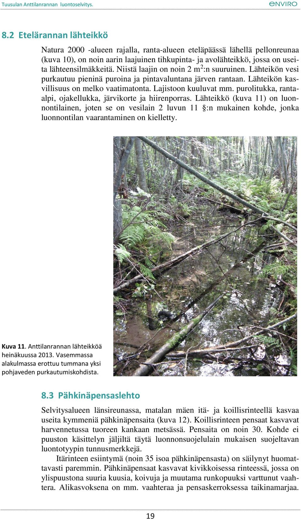 purolitukka, rantaalpi, ojakellukka, järvikorte ja hiirenporras.