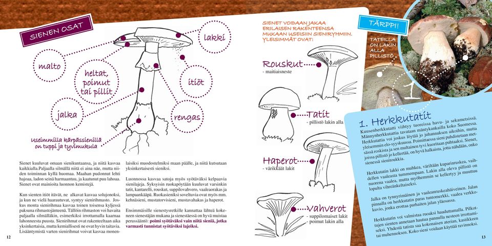 paljaalla silmällä niitä ei aina näe, mutta niiden toiminnan kyllä huomaa. Maahan pudonnut lehti hajoaa, ladon seinä harmaantuu, ja kaatunut puu lahoaa. Sienet ovat mainioita luonnon kemistejä.
