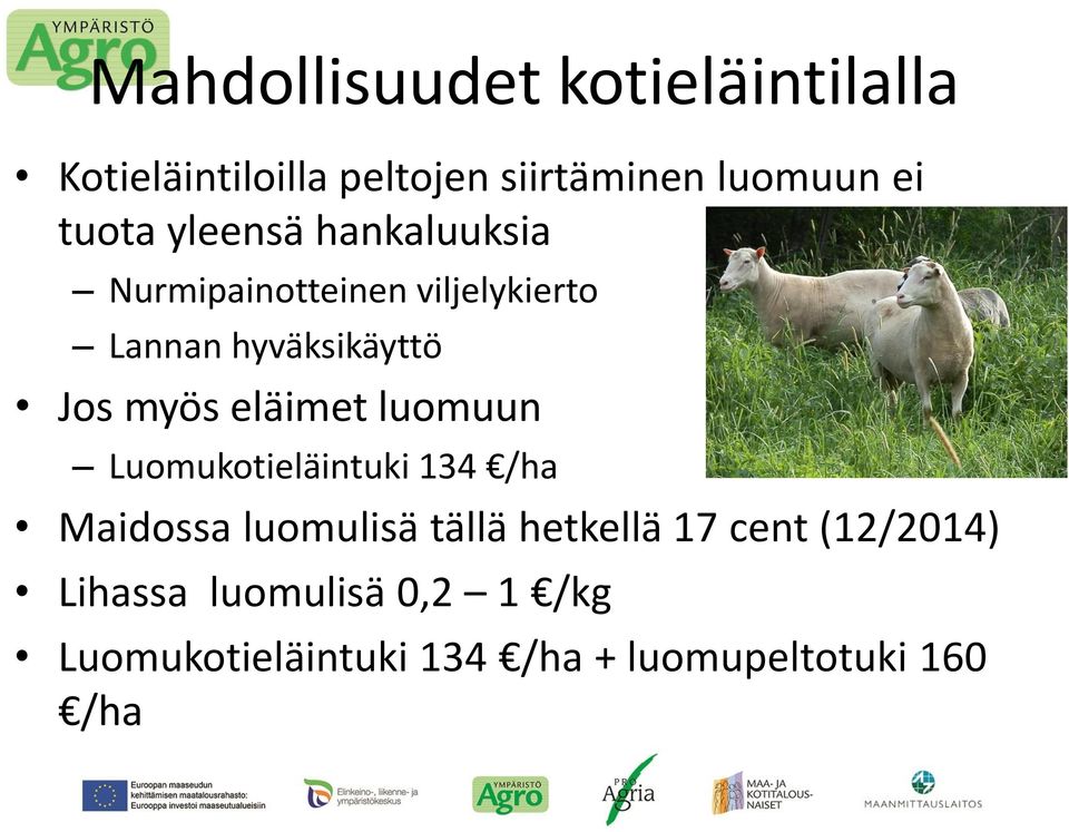 myös eläimet luomuun Luomukotieläintuki 134 /ha Maidossa luomulisä tällä hetkellä 17