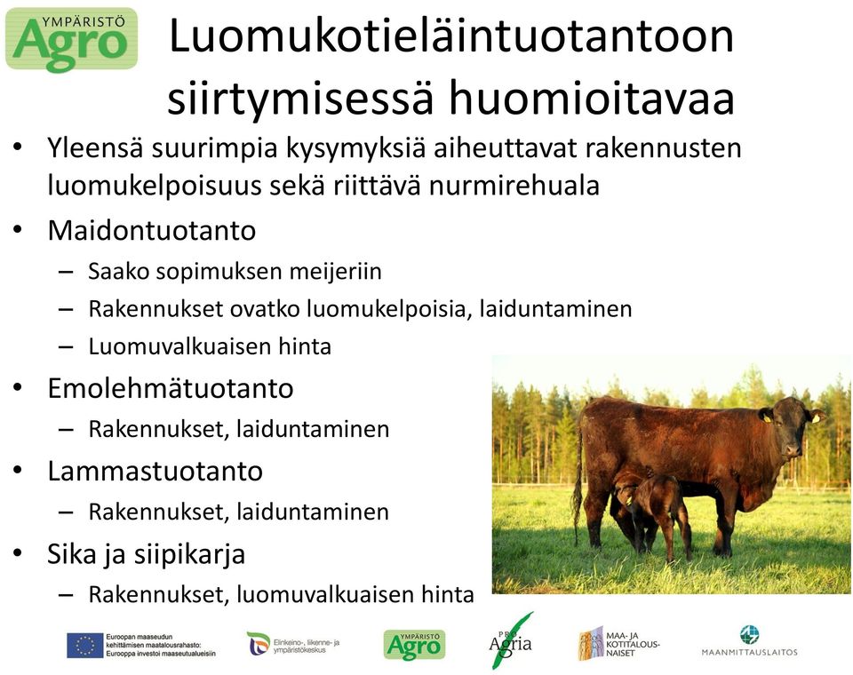 Rakennukset ovatko luomukelpoisia, laiduntaminen Luomuvalkuaisen hinta Emolehmätuotanto