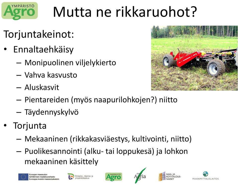 naapurilohkojen?