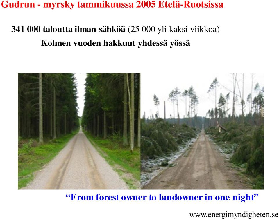 Kolmen vuoden hakkuut yhdessä yössä From forest