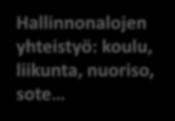 Koulun / kunnan kehitysprosessin tukeminen Koulun LK-tiimi Tiedon kerääminen ja näkemyksen rakentaminen Koulun tavoitteen sopiminen yhdessä Hallinnonalojen yhteistyö: koulu, liikunta, nuoriso, sote