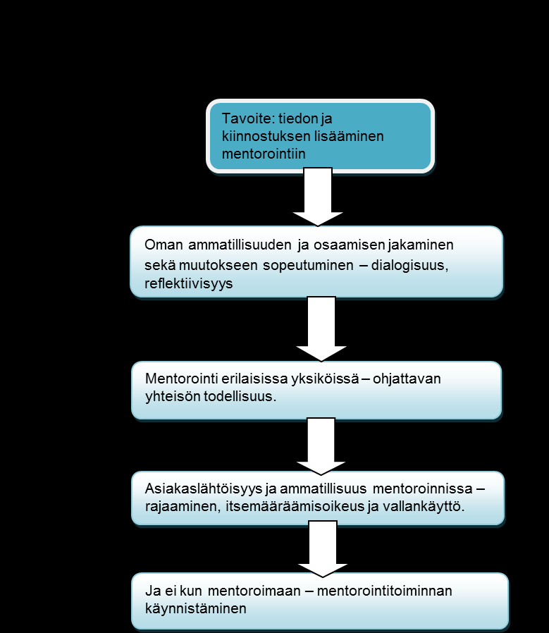 2.3 Toteutus Koulutuskokonaisuus toteutettiin niin, että ensiksi oli orientoiva koulutus.