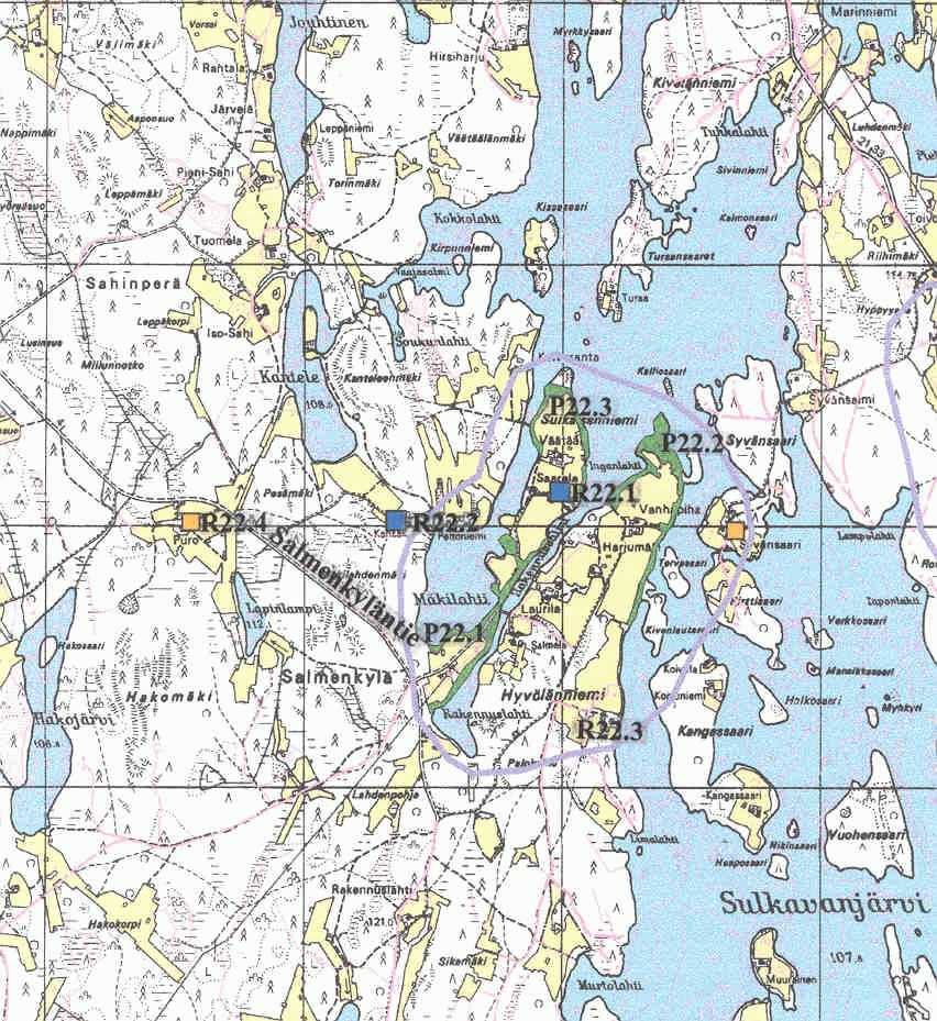 Kiuruveden kulttuuriympäristö ja sen hoito (8.8.2002) 164 Salmenkylä Salmenkylä Sulkavanjärven länsirannalla on kaupungin eteläisin kylä Rytkyltä Pielaveden Laukkalaan kulkevan tien varrelta.