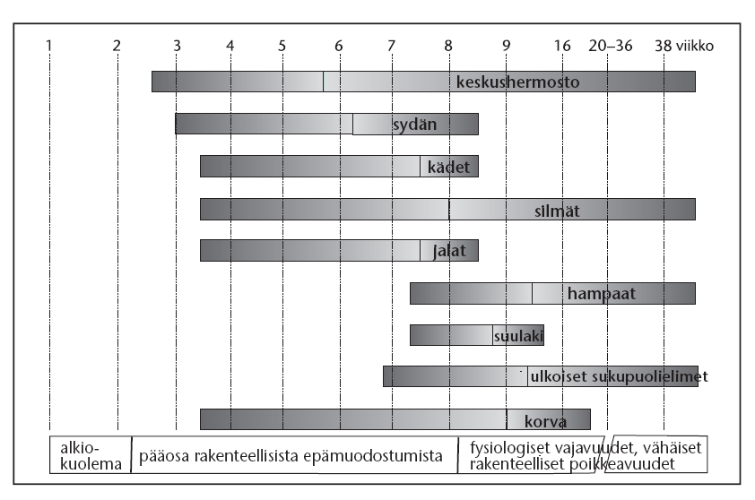 - häiriöherkkä vaihe! mm.