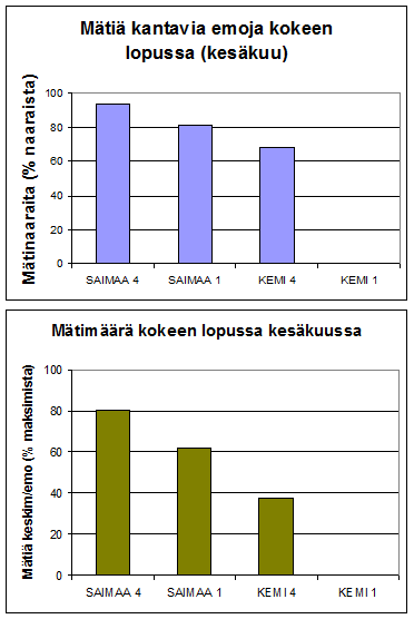 Koe 2: Talvinen haudonta Mätihävikki: Saimaa: 82-95 % emoista mätiä kantavia Kemijoki 4 C: 70 % emoista mätiä kantavia Kemijoki 1 C: vain yhdellä emolla mätiä Mädin laatu (eloonjäänti):