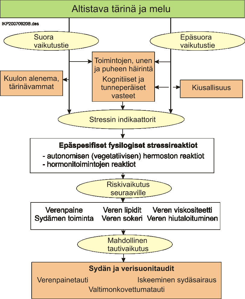 Stressiteoria melun terveysvaikutusten selittäjänä Altistava sisämelu = Ulkomelu rakennuksen ulkokuoren vaimennus.