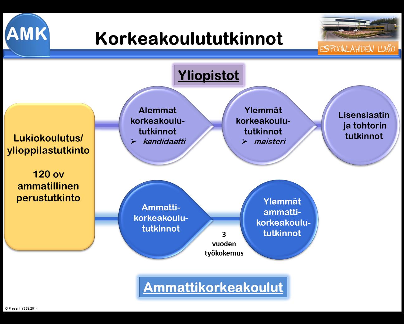 KORKEAKOULUPOLUT Yliopistot Ammattikorkeakoulut Eroja mm.? Teoria/käytäntö?