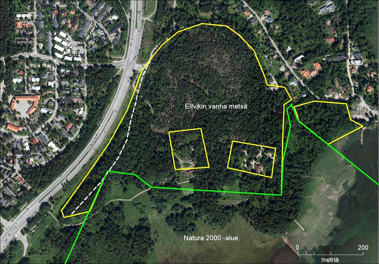 Kuva 1. Elfvikin vanhan metsän sijainti (keltainen rajaus). Metsäalue koostuu kahdesta kuviosta. Sen sisällä olevat asuinkiinteistöjen pihamaat on jätetty rajauksen ulkopuolelle.