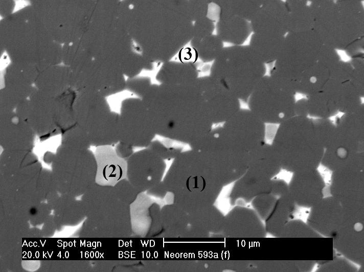 M4 (593a) TRE% 32.0 Co% 1.0, Strip Cast 12 (1) (2) (3) Dark grey phase Light grey phase White phase wt.% at.% wt.% at.% wt.% at.% Fe 69.10 84.58 9.12 11.18 16.54 28.25 Nd 16.64 7.88 53.