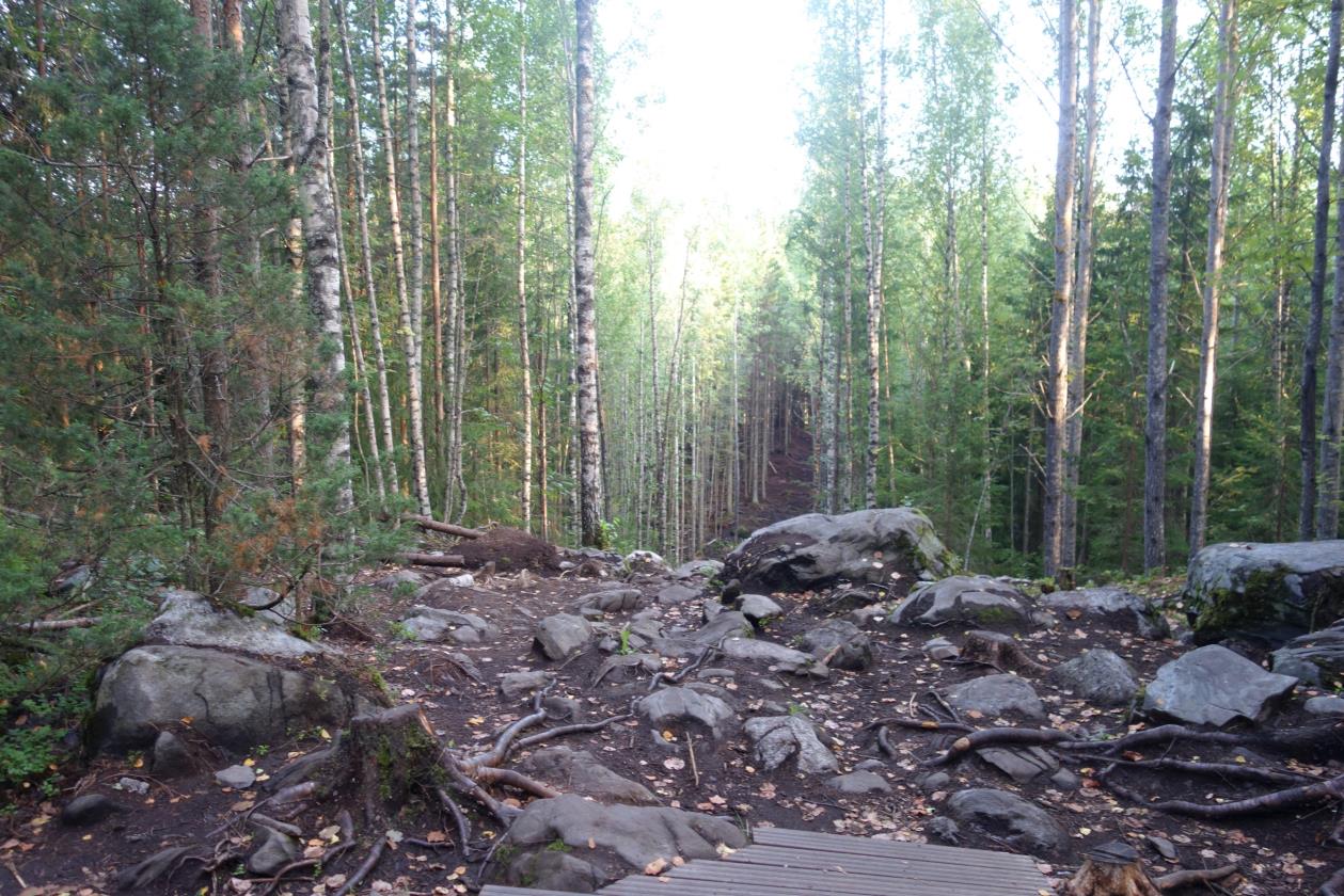 Väylä 15 - Bogilaakso Pahamaineinen vakioväylä numero 10, joka monen mielestä on vakioradan vaikein väylä. Ojan ylittävä silta on n. 65 metrin päässä tiiltä.