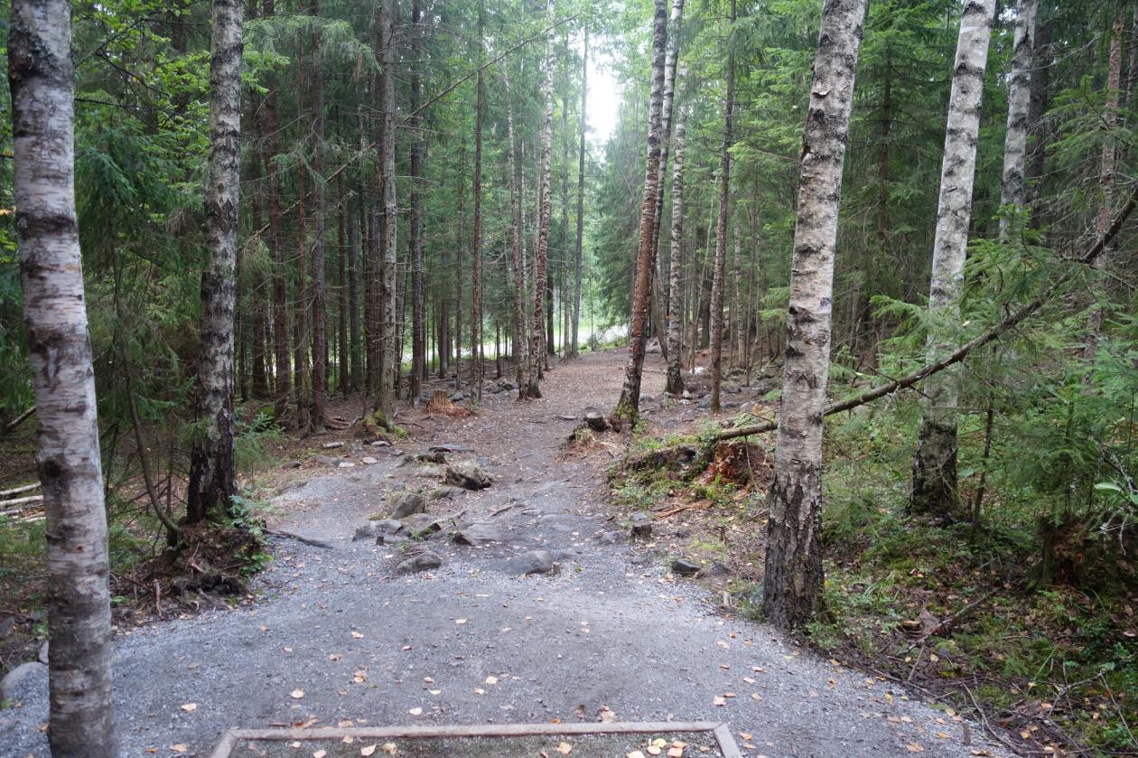 Väylän takana kulkeva ulkoilureitti on tälle väylälle OB ja samalla myös