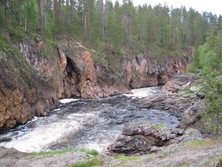 Labrassa: loiset, syönnösnäyte