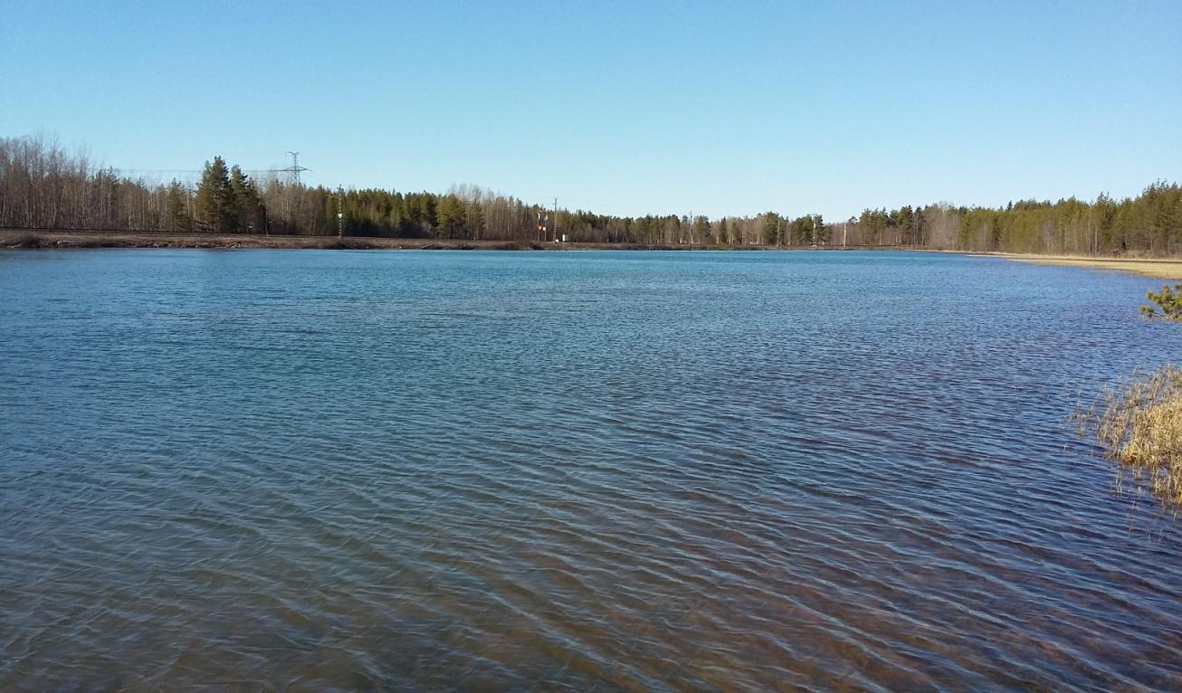 KOKKOLAN PATAMÄEN JA HARRINNIEMEN