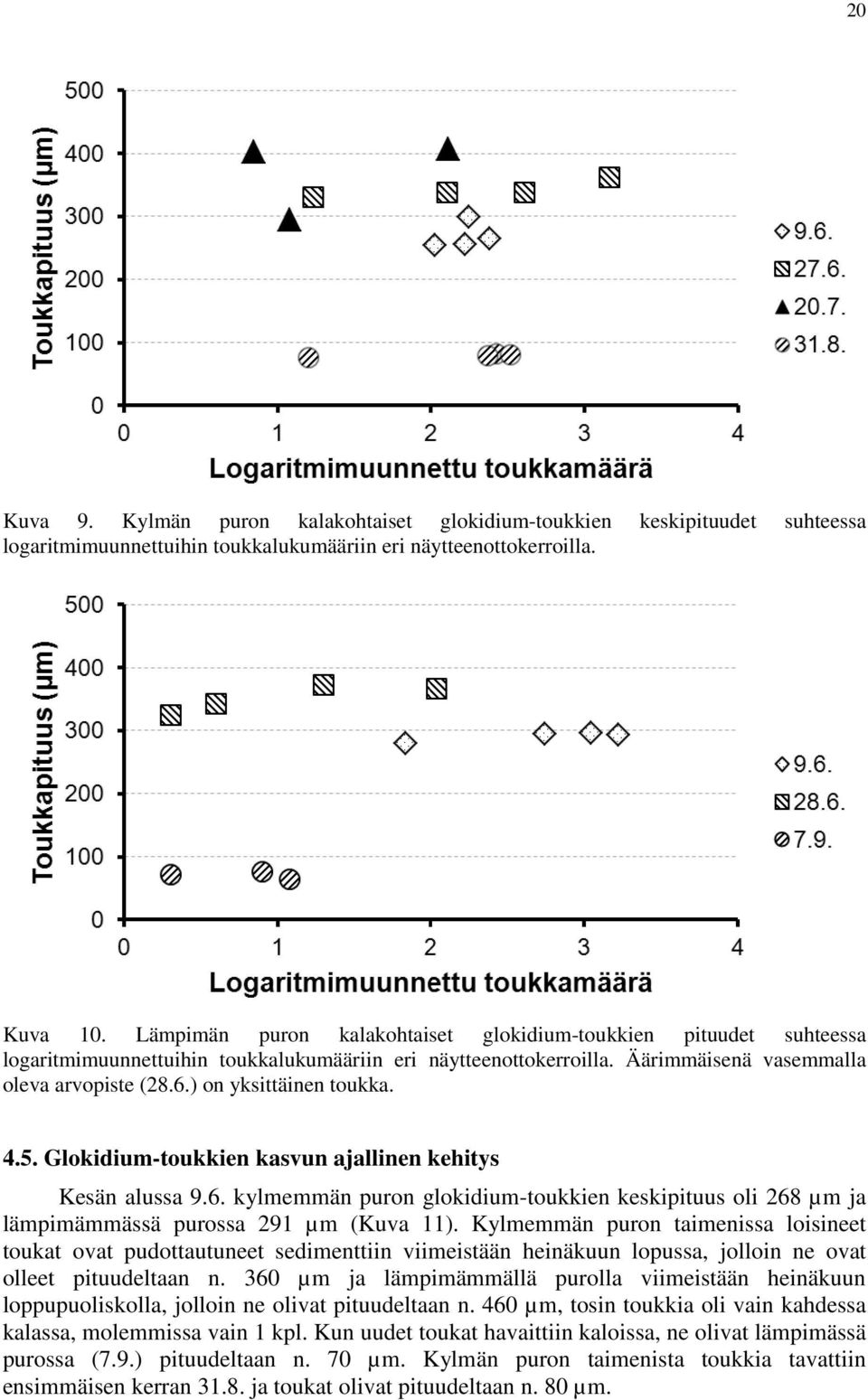 ) on yksittäinen toukka. 4.5. Glokidium-toukkien kasvun ajallinen kehitys Kesän alussa 9.6. kylmemmän puron glokidium-toukkien keskipituus oli 268 µm ja lämpimämmässä purossa 291 µm (Kuva 11).