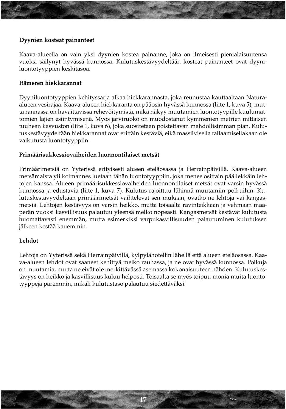 Itämeren hiekkarannat Dyyniluontotyyppien kehityssarja alkaa hiekkarannasta, joka reunustaa kauttaaltaan Naturaalueen vesirajaa.