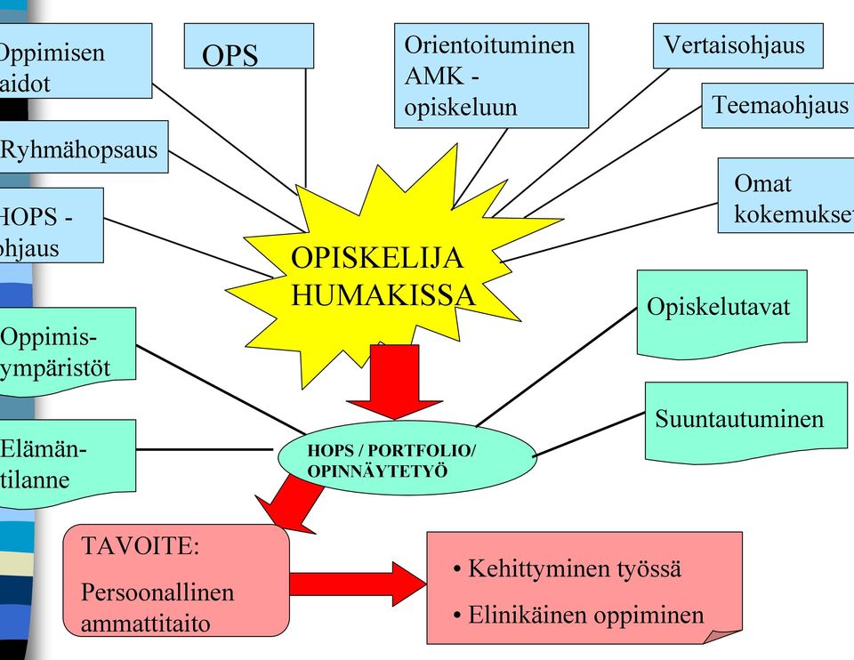 Opiskelutavat Omat kokemukset lämänilanne HOPS / PORTFOLIO/ OPINNÄYTETYÖ