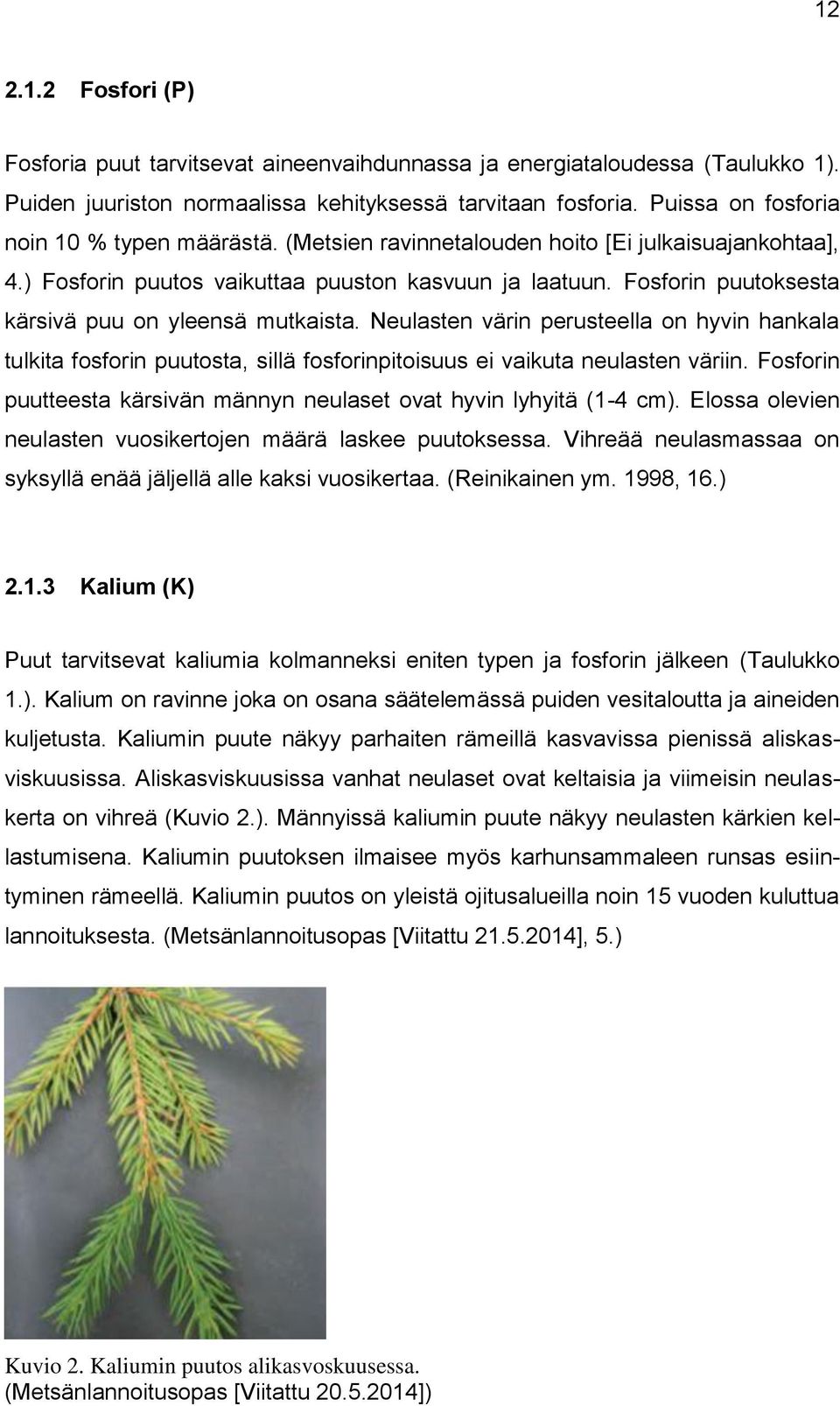 Fosforin puutoksesta kärsivä puu on yleensä mutkaista. Neulasten värin perusteella on hyvin hankala tulkita fosforin puutosta, sillä fosforinpitoisuus ei vaikuta neulasten väriin.