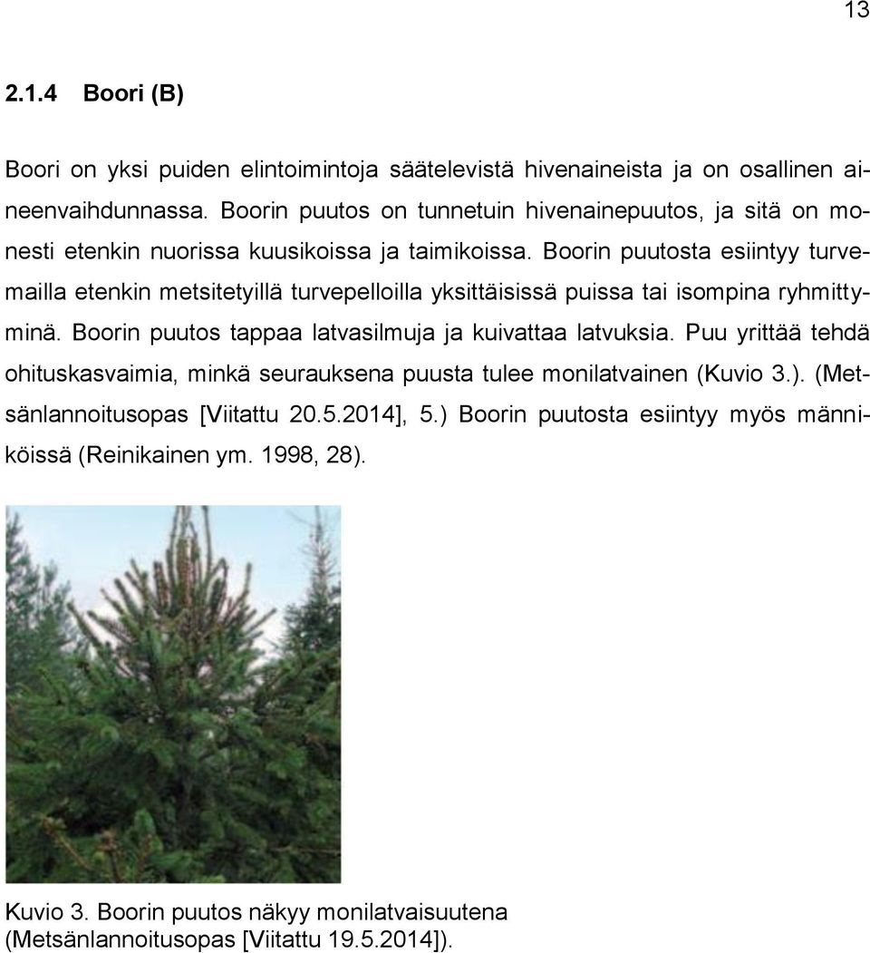 Boorin puutosta esiintyy turvemailla etenkin metsitetyillä turvepelloilla yksittäisissä puissa tai isompina ryhmittyminä.