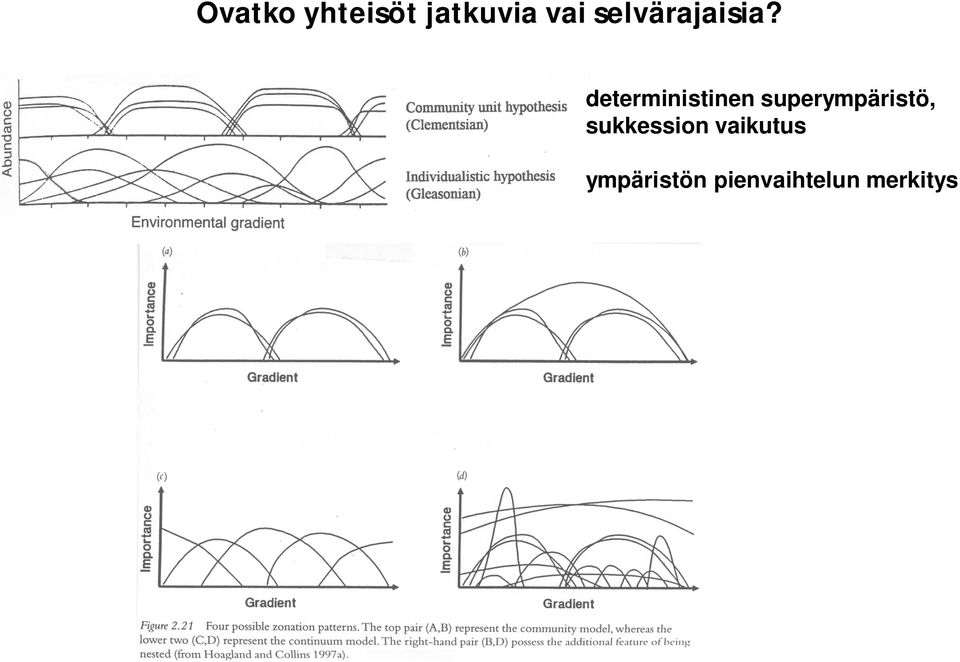 deterministinen superympäristö,