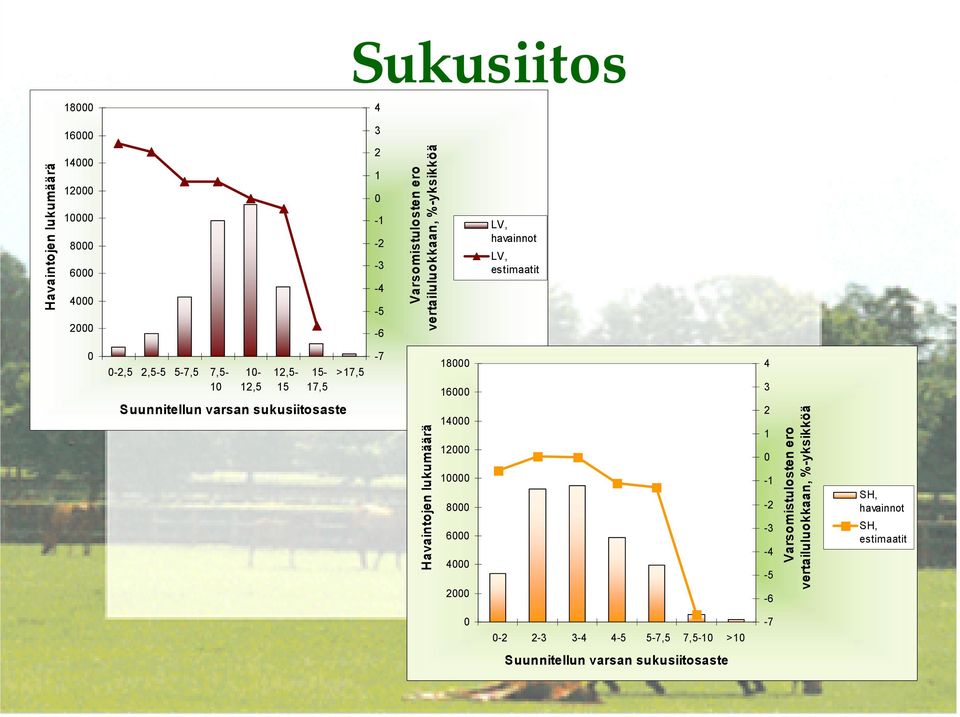 Suunnitellun varsan sukusiitosaste >17,5-7 Havaintojen lukumäärä 18 16 14 12 1 8 6 4 2 4 3 2 1-1 -2-3 -4-5 -6