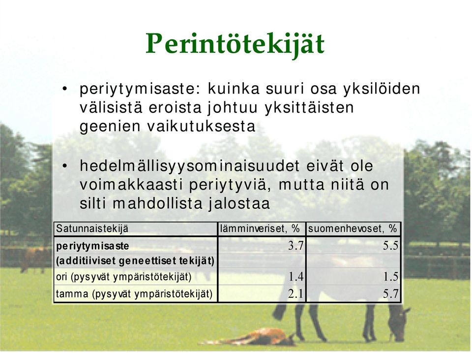 silti mahdollista jalostaa Satunnaistekijä lämminveriset, % suomenhevoset, % periytymisaste 3.7 5.