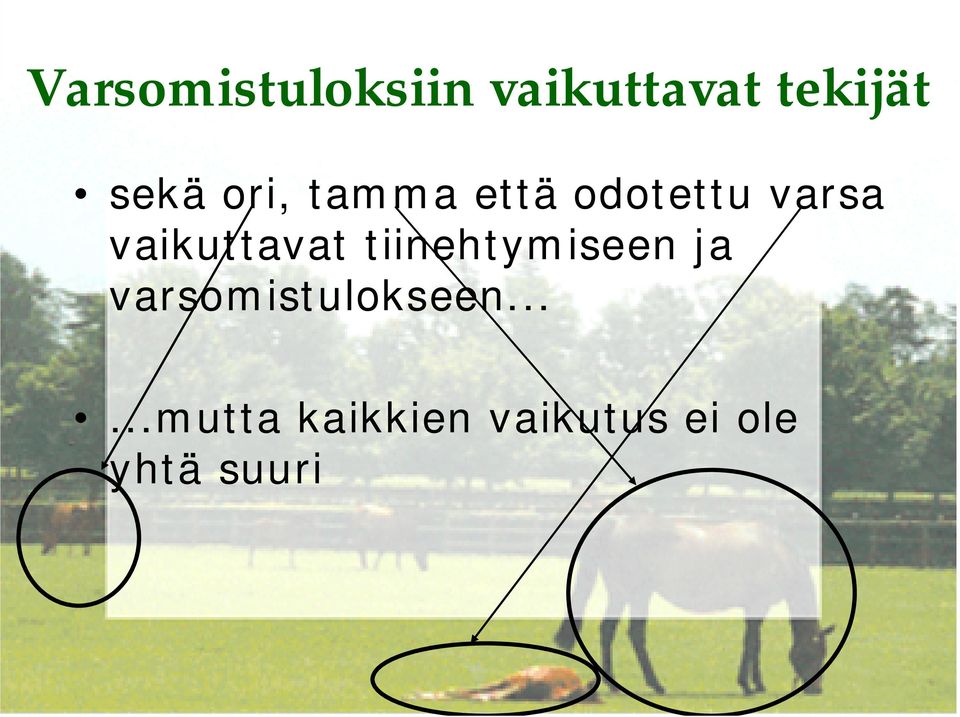 vaikuttavat tiinehtymiseen ja