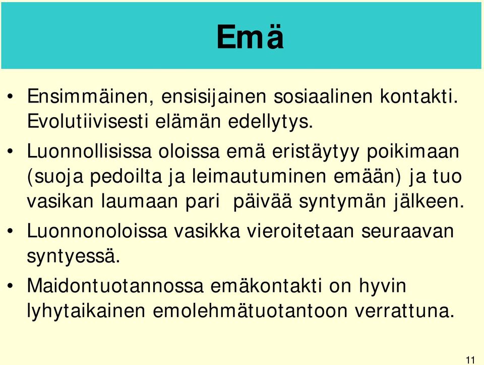 tuo vasikan laumaan pari päivää syntymän jälkeen.