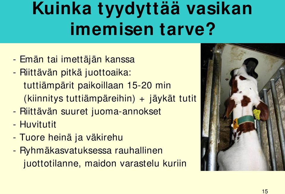 paikoillaan 15-20 min (kiinnitys tuttiämpäreihin) + jäykät tutit - Riittävän