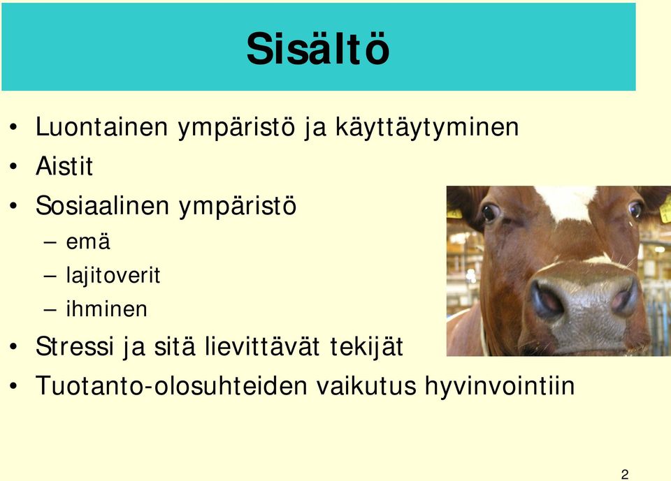 emä lajitoverit ihminen Stressi ja sitä