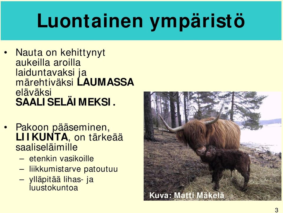 Pakoon pääseminen, LIIKUNTA, on tärkeää saaliseläimille etenkin