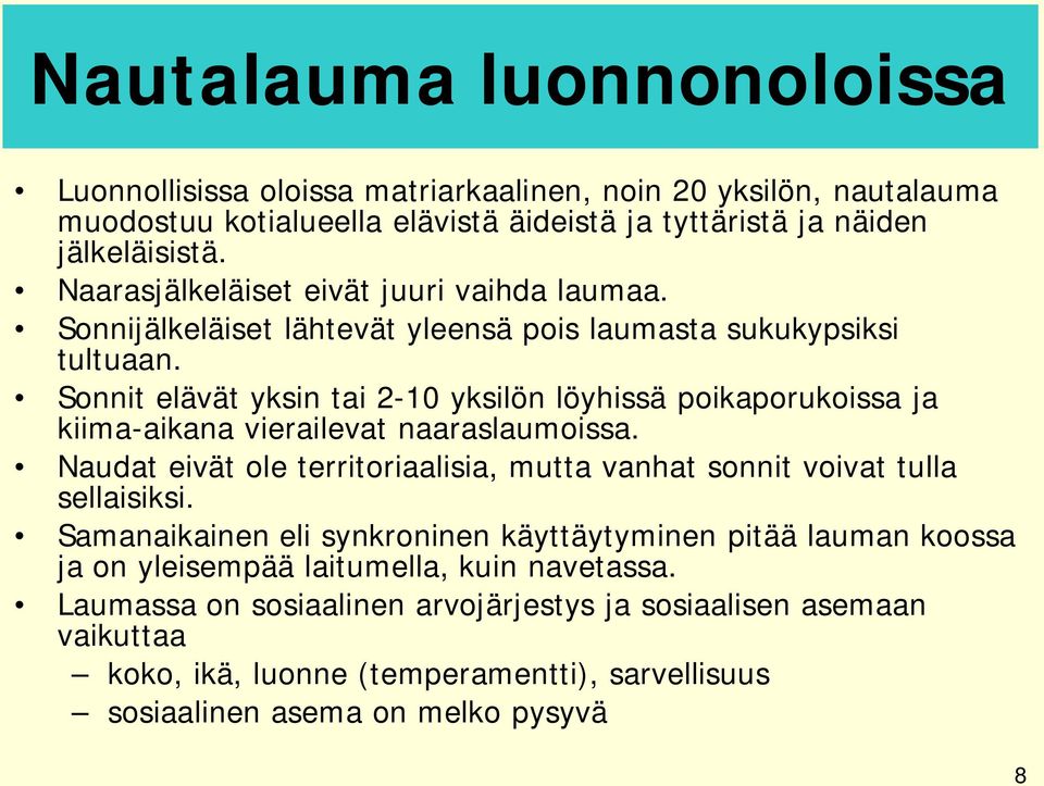 Sonnit elävät yksin tai 2-10 yksilön löyhissä poikaporukoissa ja kiima-aikana vierailevat naaraslaumoissa.