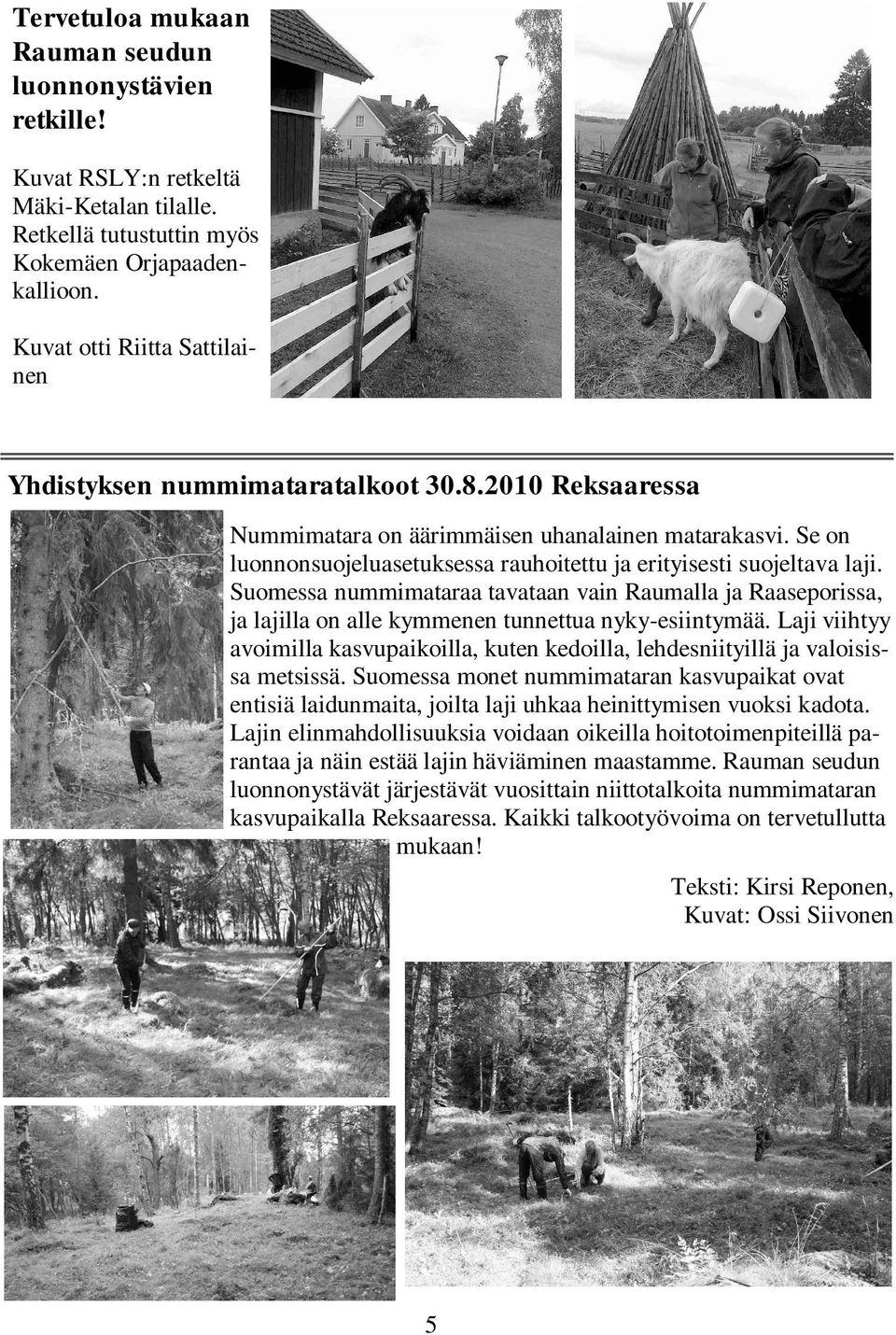Se on luonnonsuojeluasetuksessa rauhoitettu ja erityisesti suojeltava laji. Suomessa nummimataraa tavataan vain Raumalla ja Raaseporissa, ja lajilla on alle kymmenen tunnettua nyky-esiintymää.